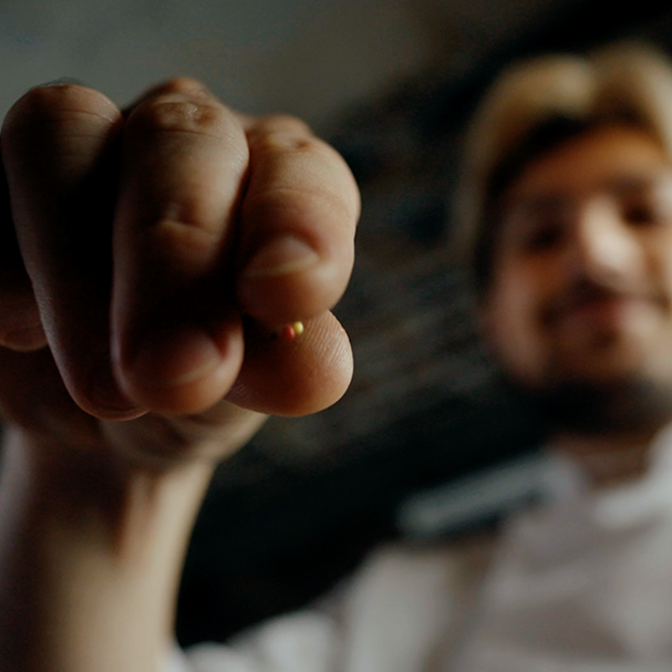 film de marque bogato